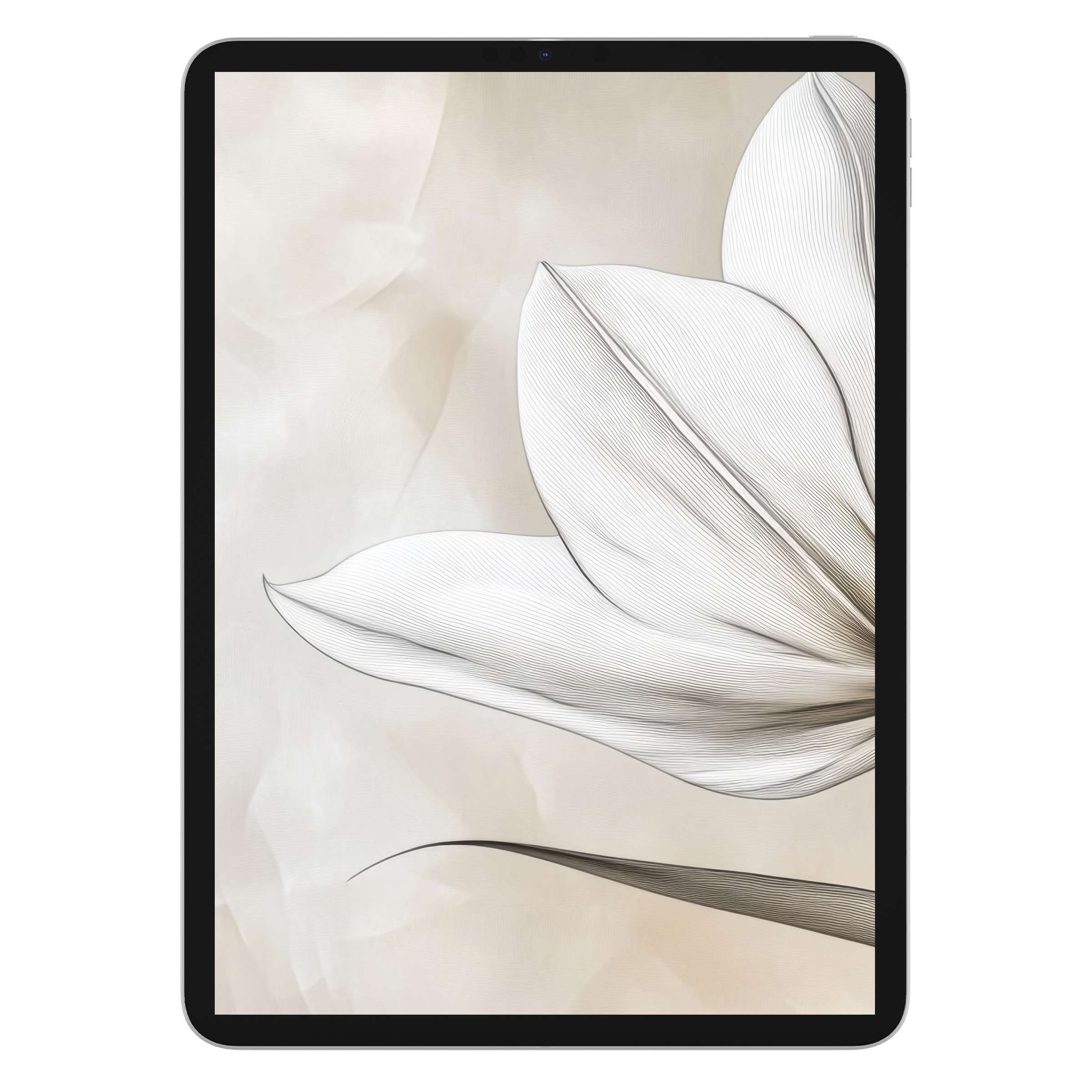 Elegant minimalist iPad wallpaper featuring a soft floral design, ideal tablet background for digital download and modern aesthetics
