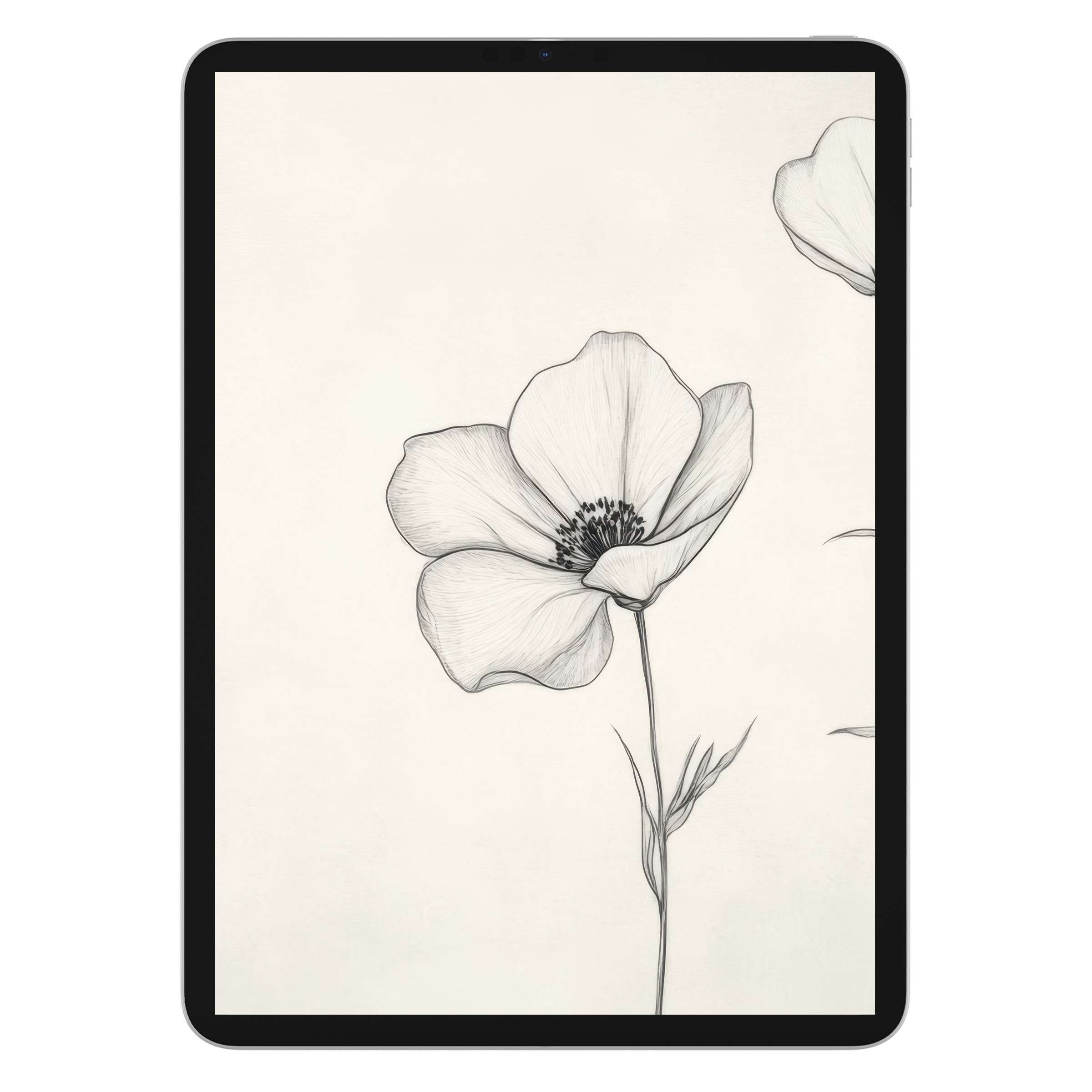 Minimalist iPad wallpaper featuring elegant floral sketch on a soft cream background perfect for digital download on any tablet device
