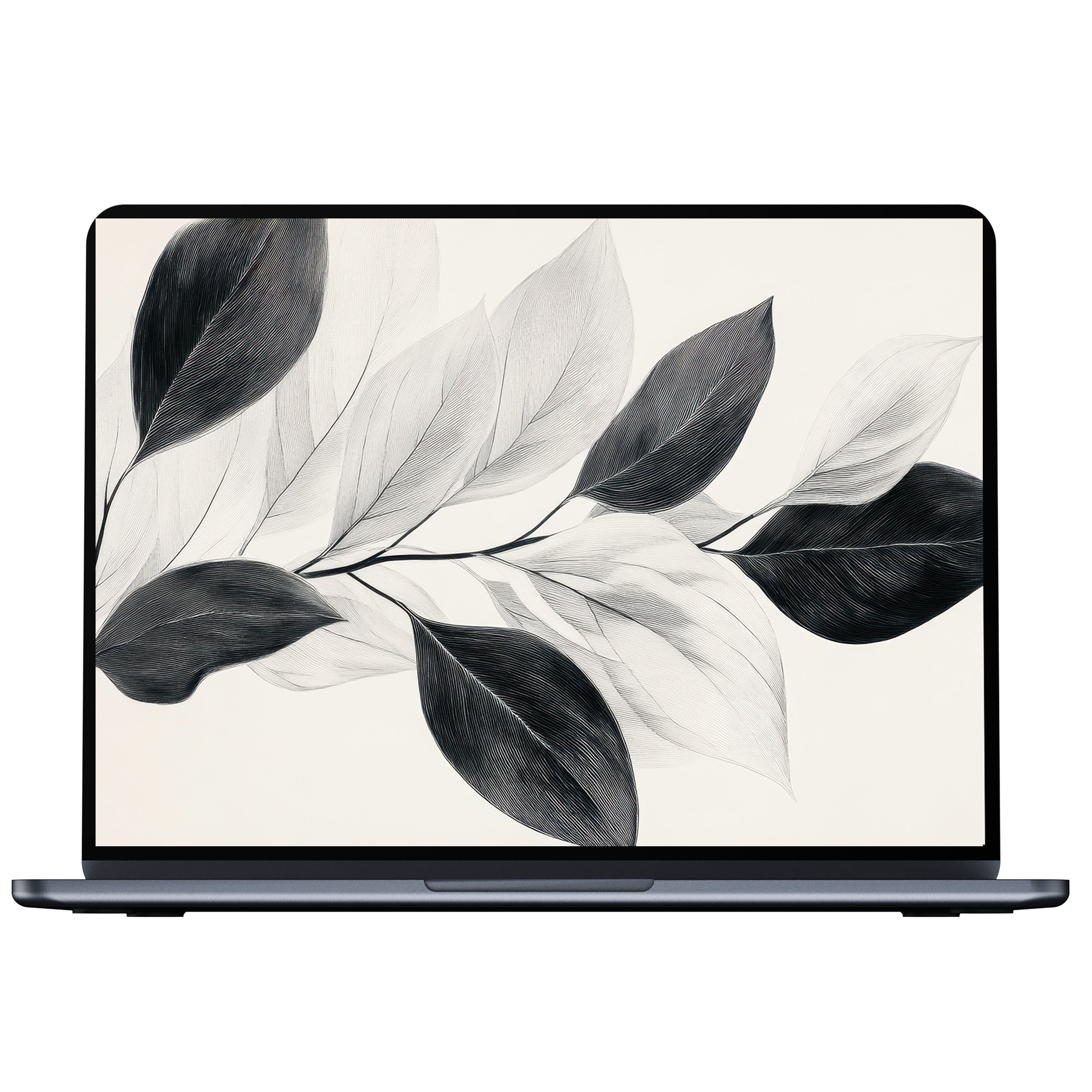 Neutral desktop wallpaper with elegant black and white leaves, inspiring calm, designed for PC and laptop use, digital download