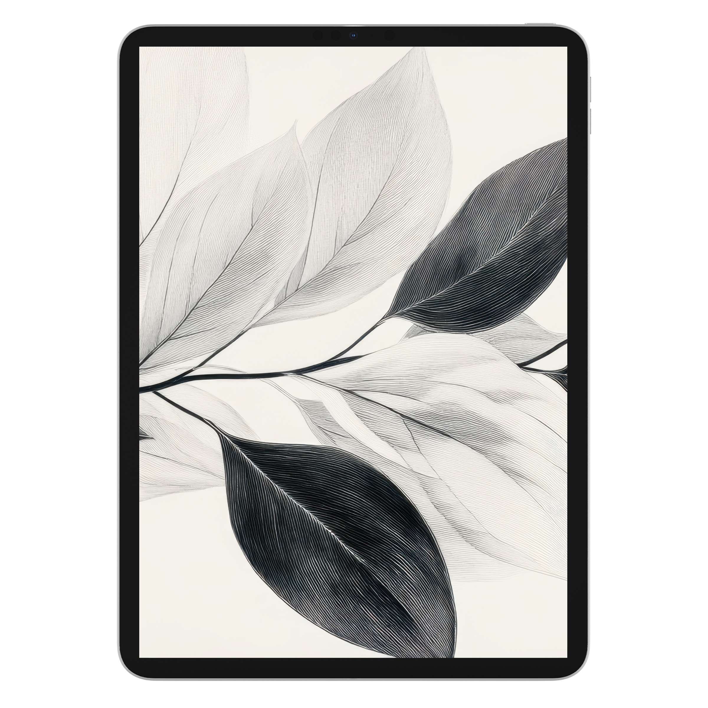 Neutral iPad wallpaper with elegant black-and-white leaf illustration offers a calming, sustainable background for any tablet, digital download available