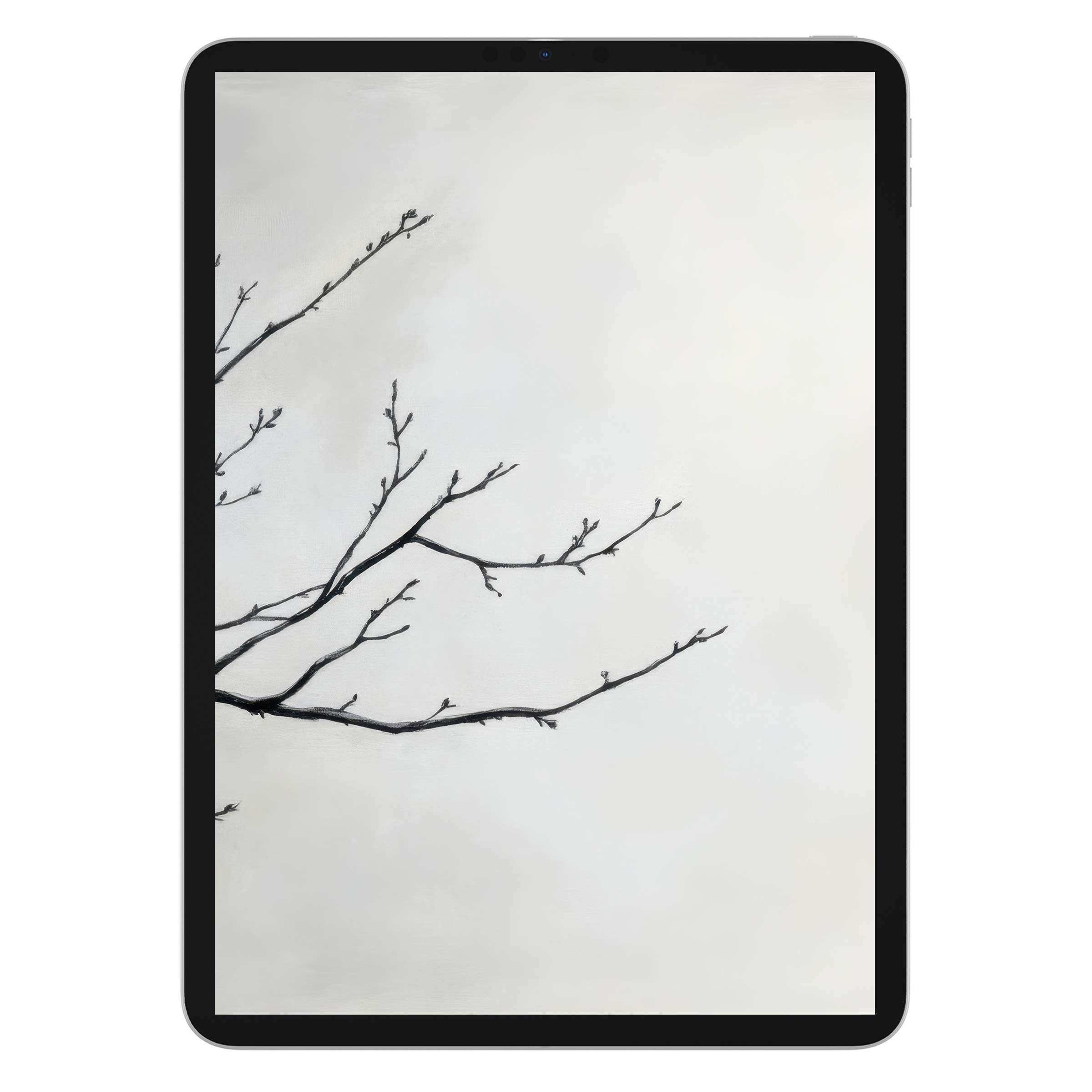 Neutral iPad wallpaper featuring minimalist tree branches on a pale background for digital download compatible with all tablets
