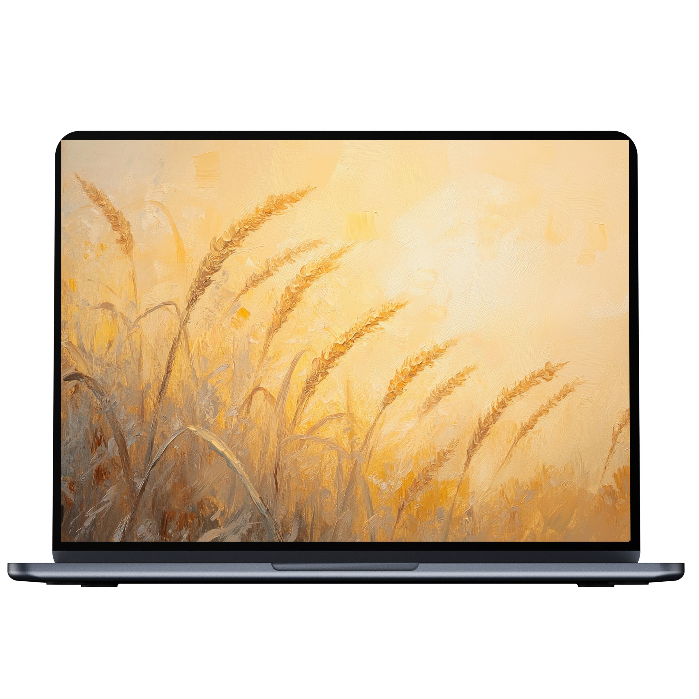 Sunlit wheat fields create a serene summer desktop wallpaper for PC or laptop, a calming digital download for mindful elegance