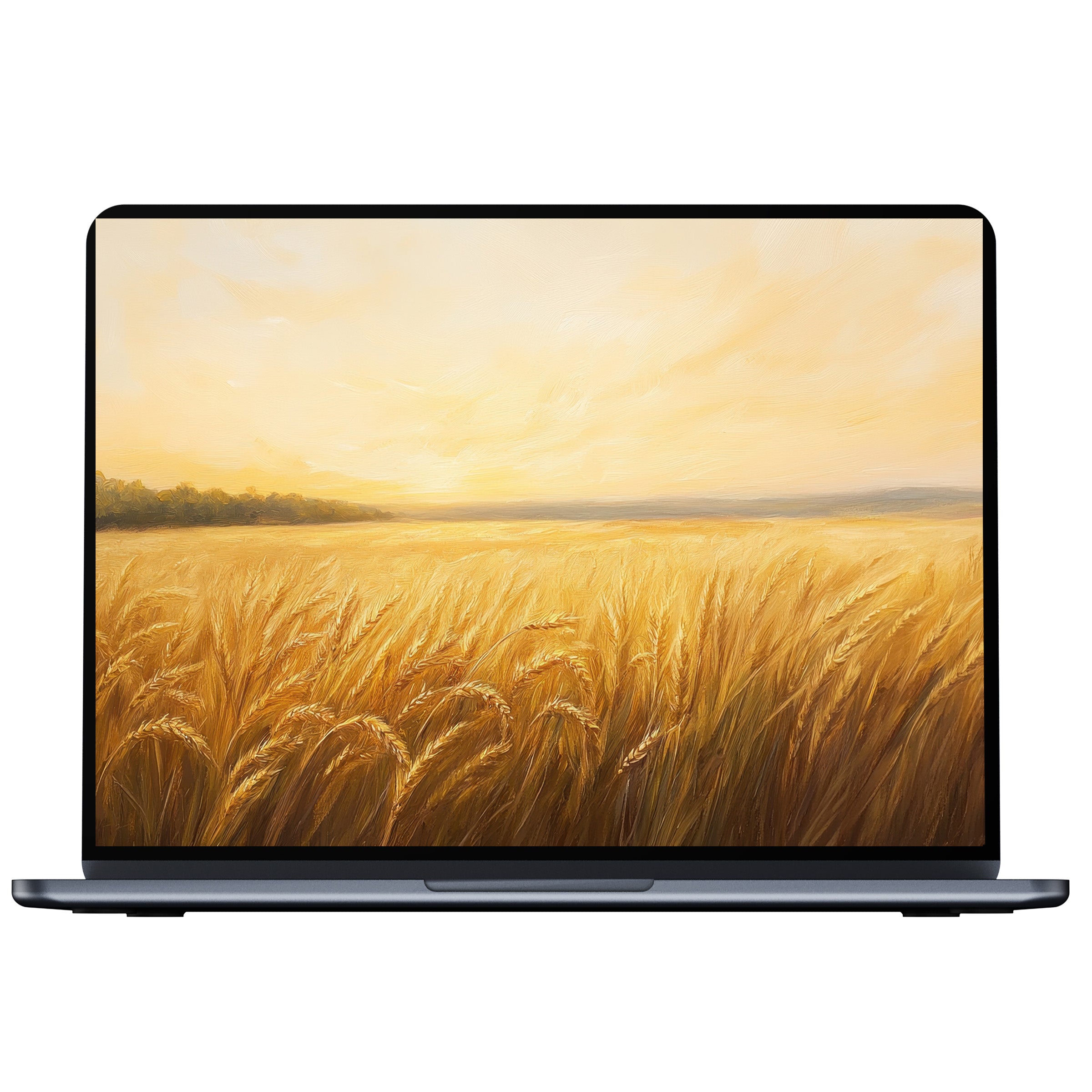 Elegant summer desktop wallpaper with golden field and sunset, perfect digital download for PC, Laptop, Mac enhancing calm elegance
