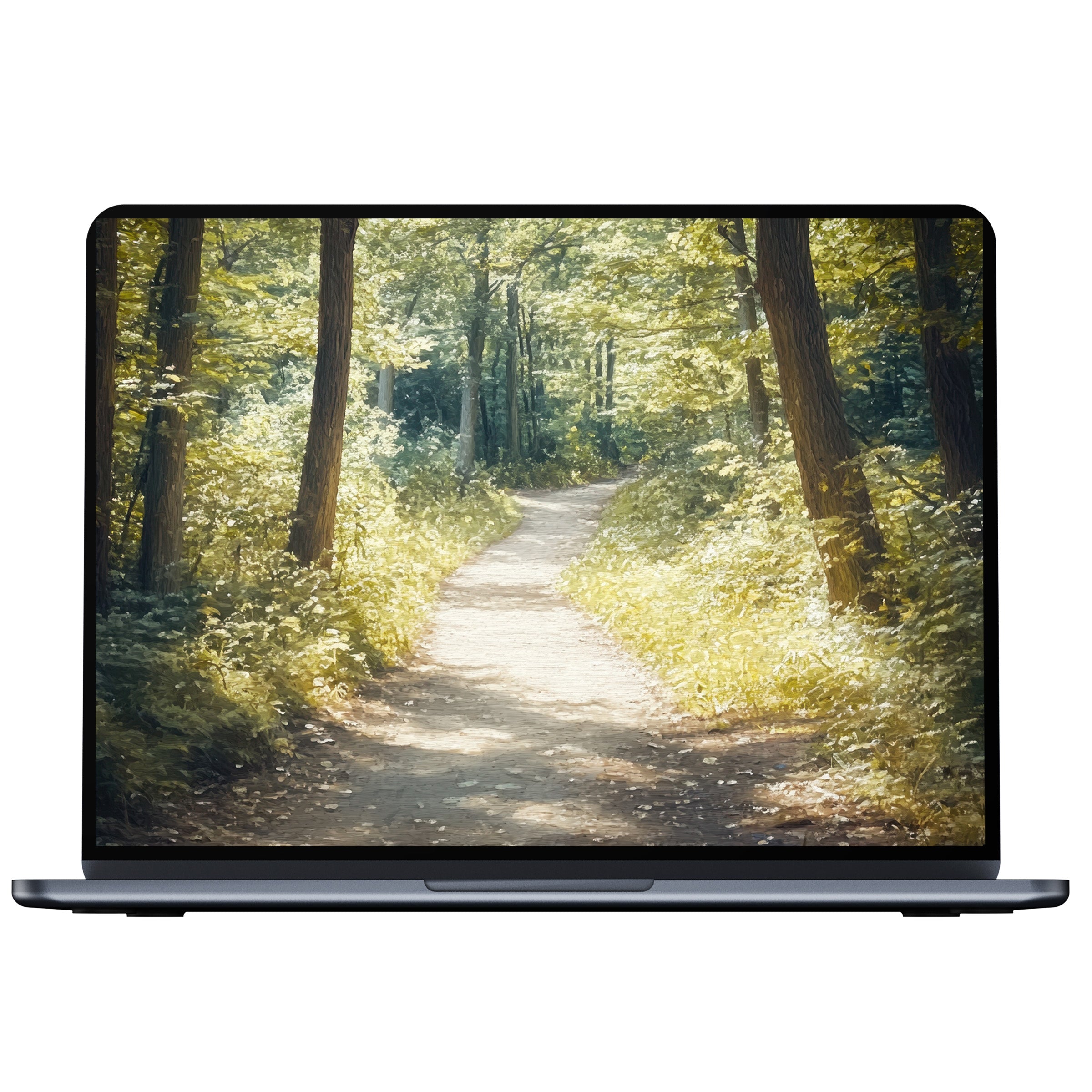 Calm summer desktop wallpaper for PC and laptop featuring a sunlit forest path digital download inspiring elegance and mindfulness
