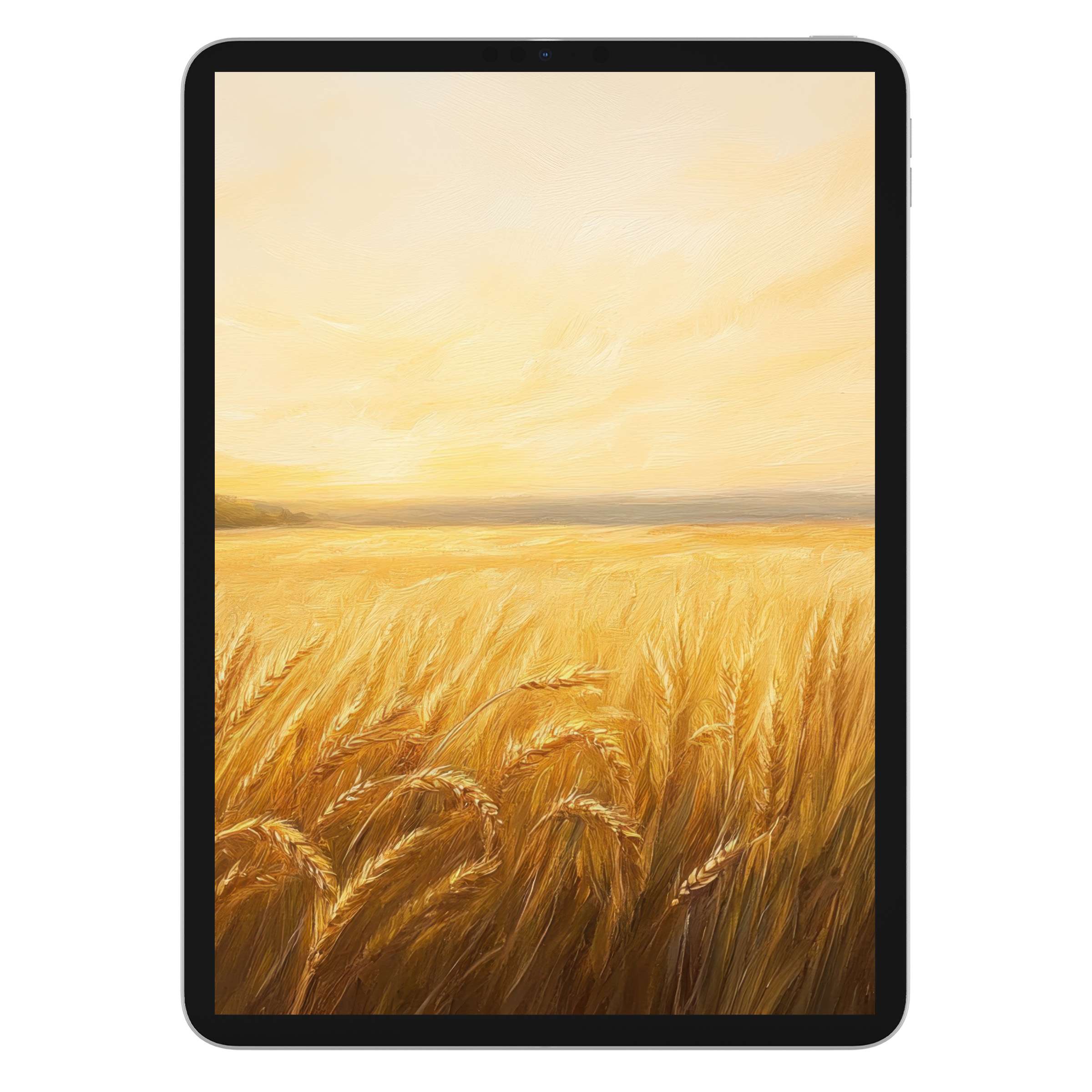 Golden wheat field under a serene summer sky creates an elegant summer iPad wallpaper for tablets, digital download background