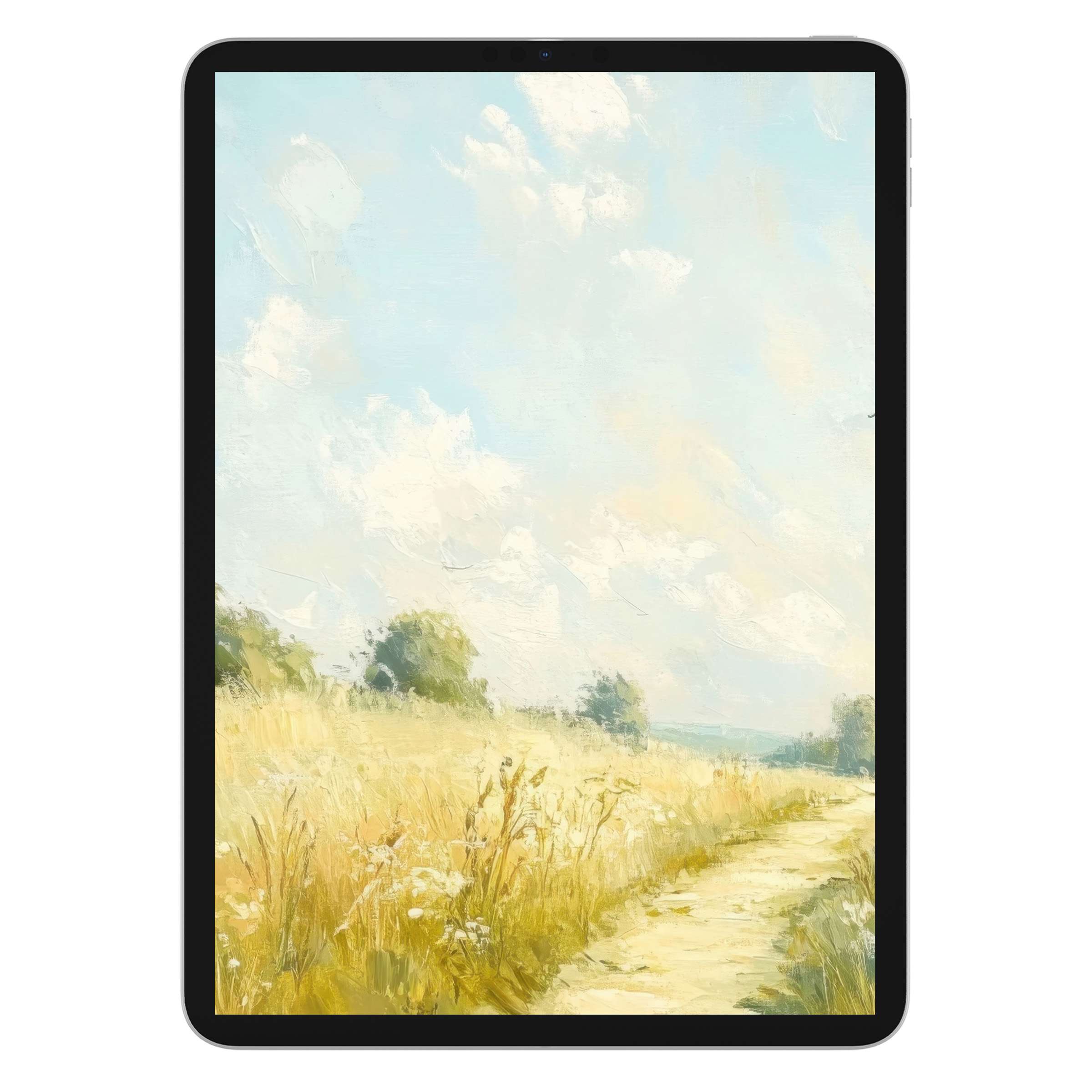 Elegant summer iPad wallpaper with serene field scene, perfect digital download for tablets, enhancing backgrounds with tranquility