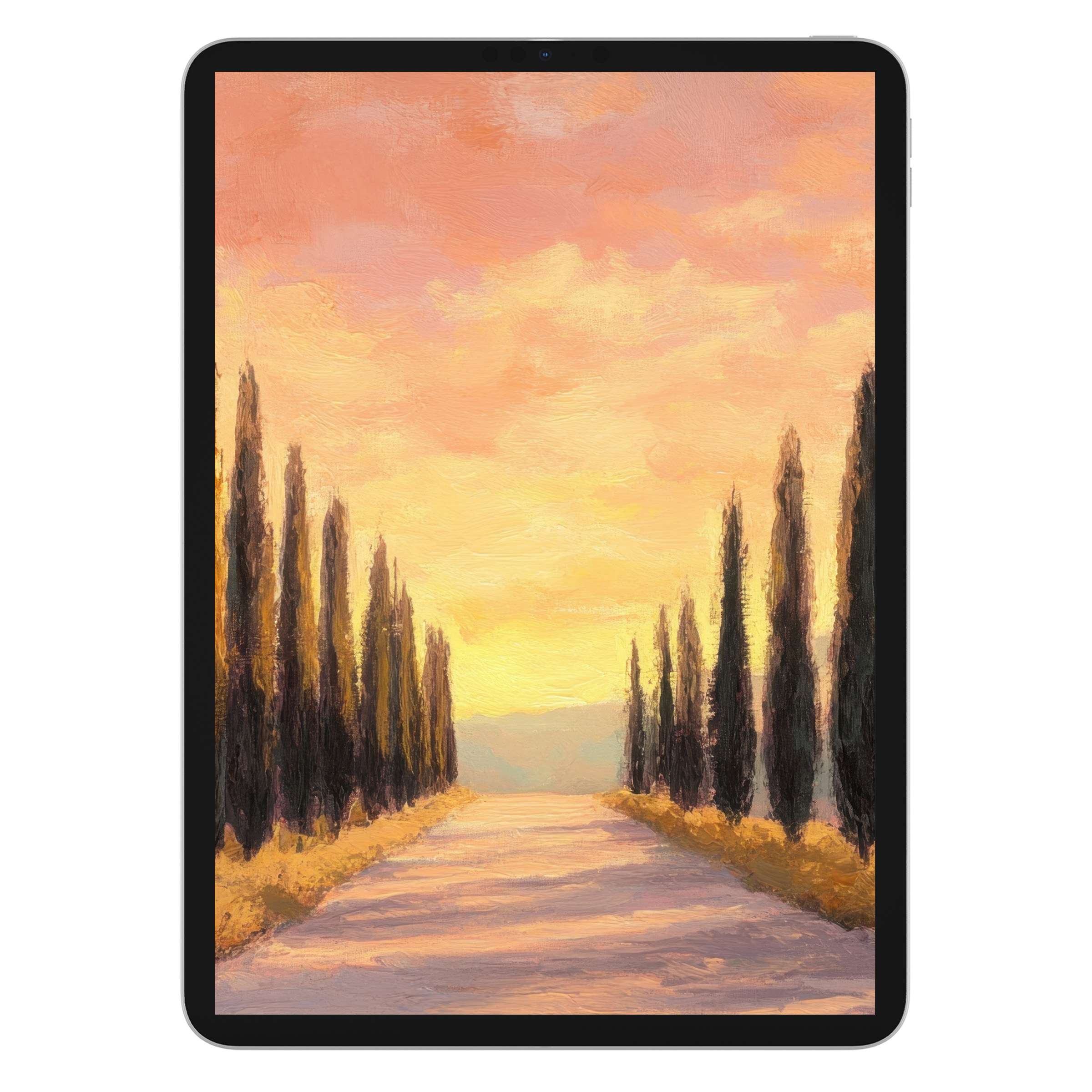 Serene view of cypress-lined path in warm sunset hues for tree iPad wallpaper digital download tablet background offering tranquility