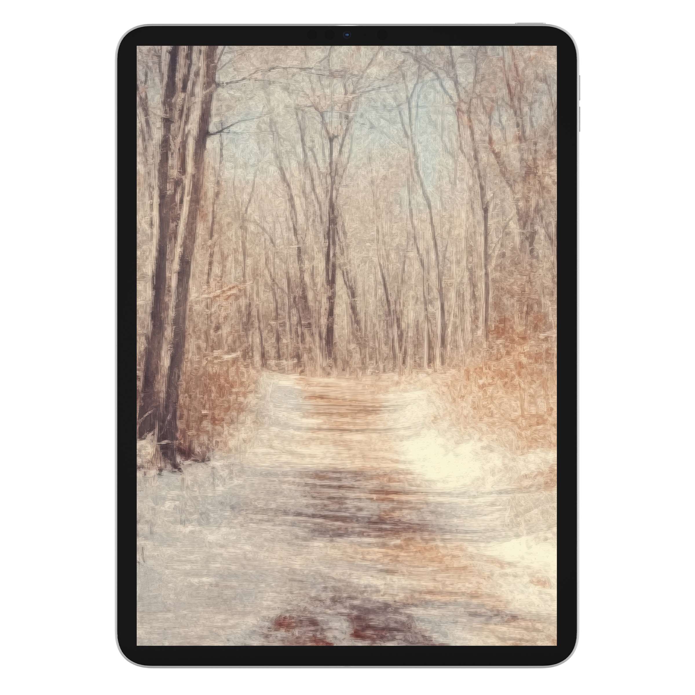 Dreamy winter forest path tree iPad wallpaper as a calming digital download suitable for any tablet background to enhance peace