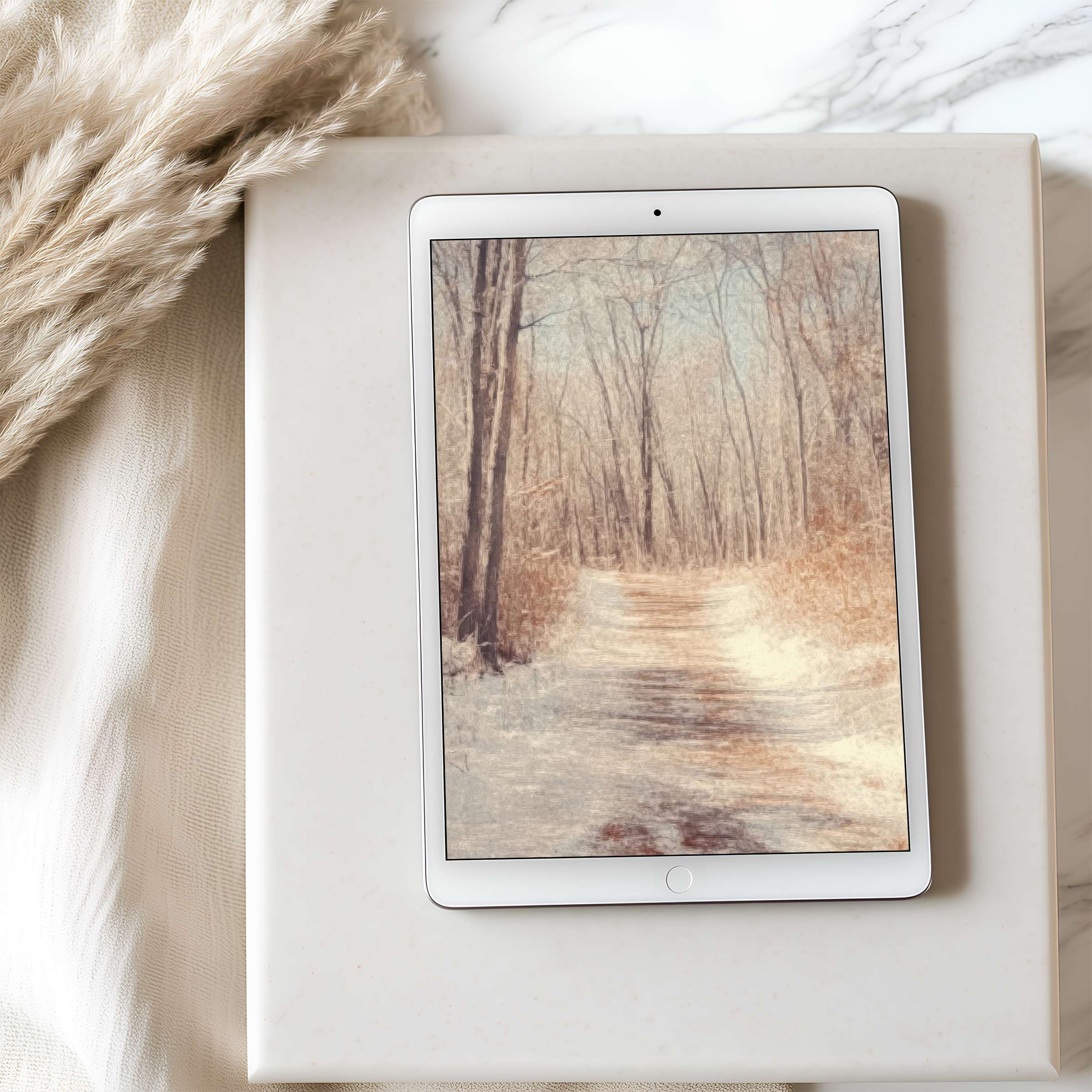 Elegant tablet wallpaper featuring a serene winter forest path in soft hues evokes tranquility suitable for iPad download