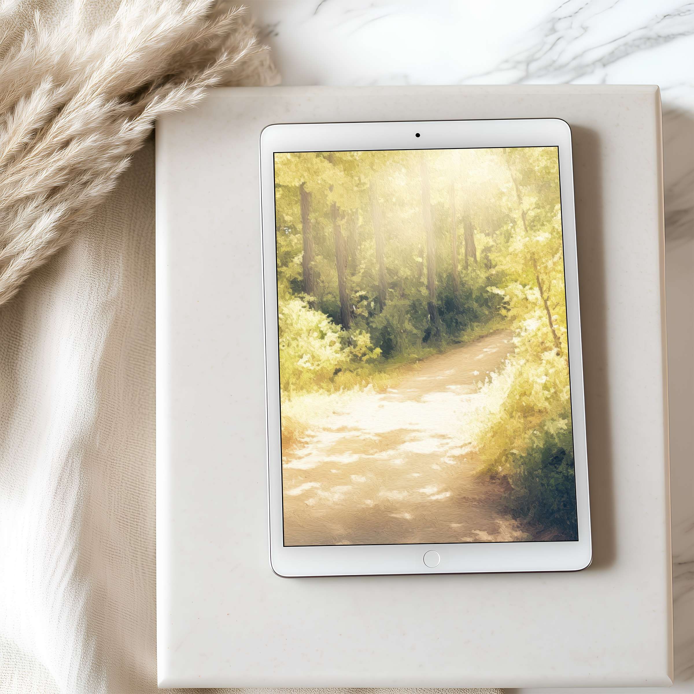 Elegant tablet wallpaper showcasing a serene forest path in soft light, perfect for iPad or Android use, elevating digital calm