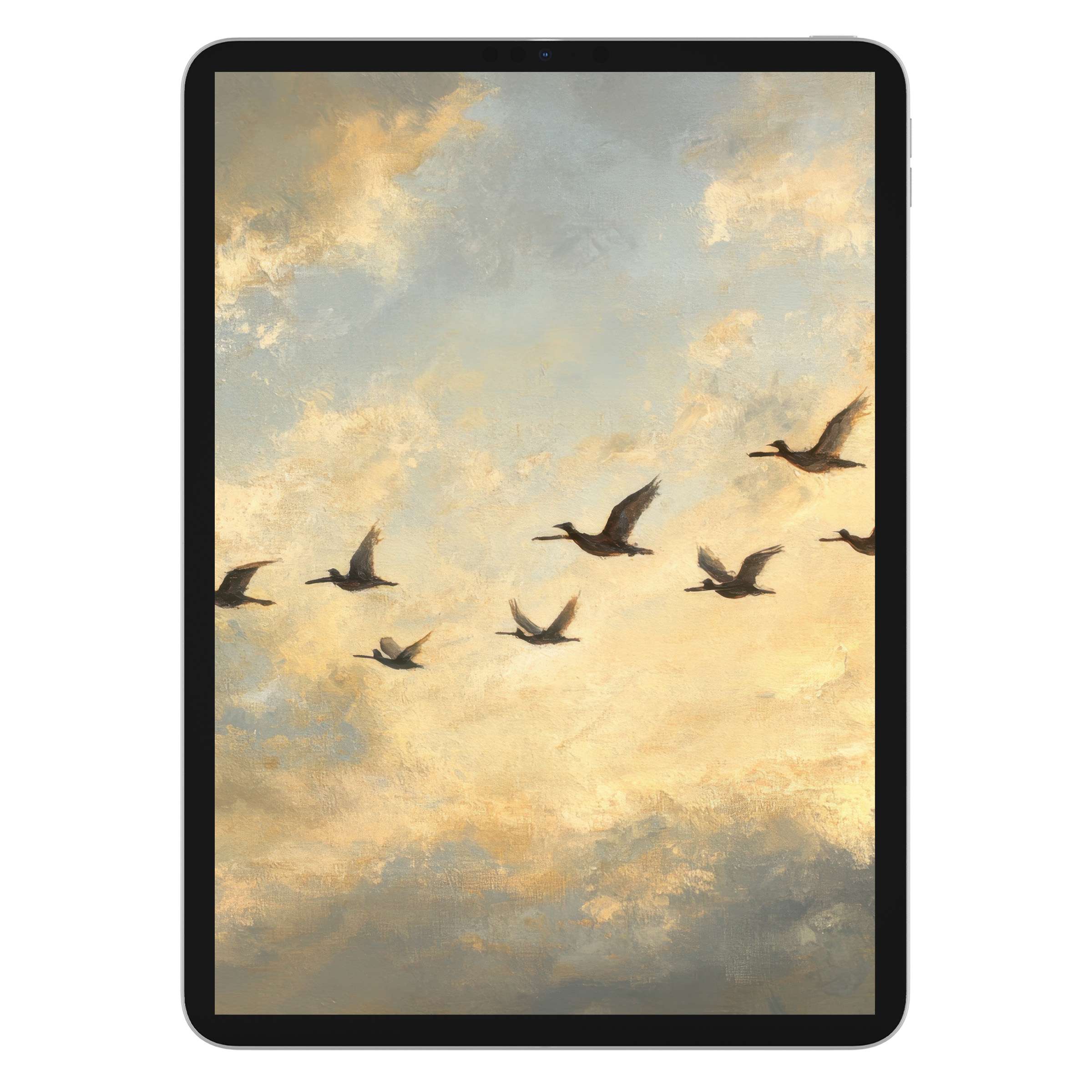 Vintage iPad wallpaper featuring serene flying birds against a soft, painted sky background for tablet digital download elegance