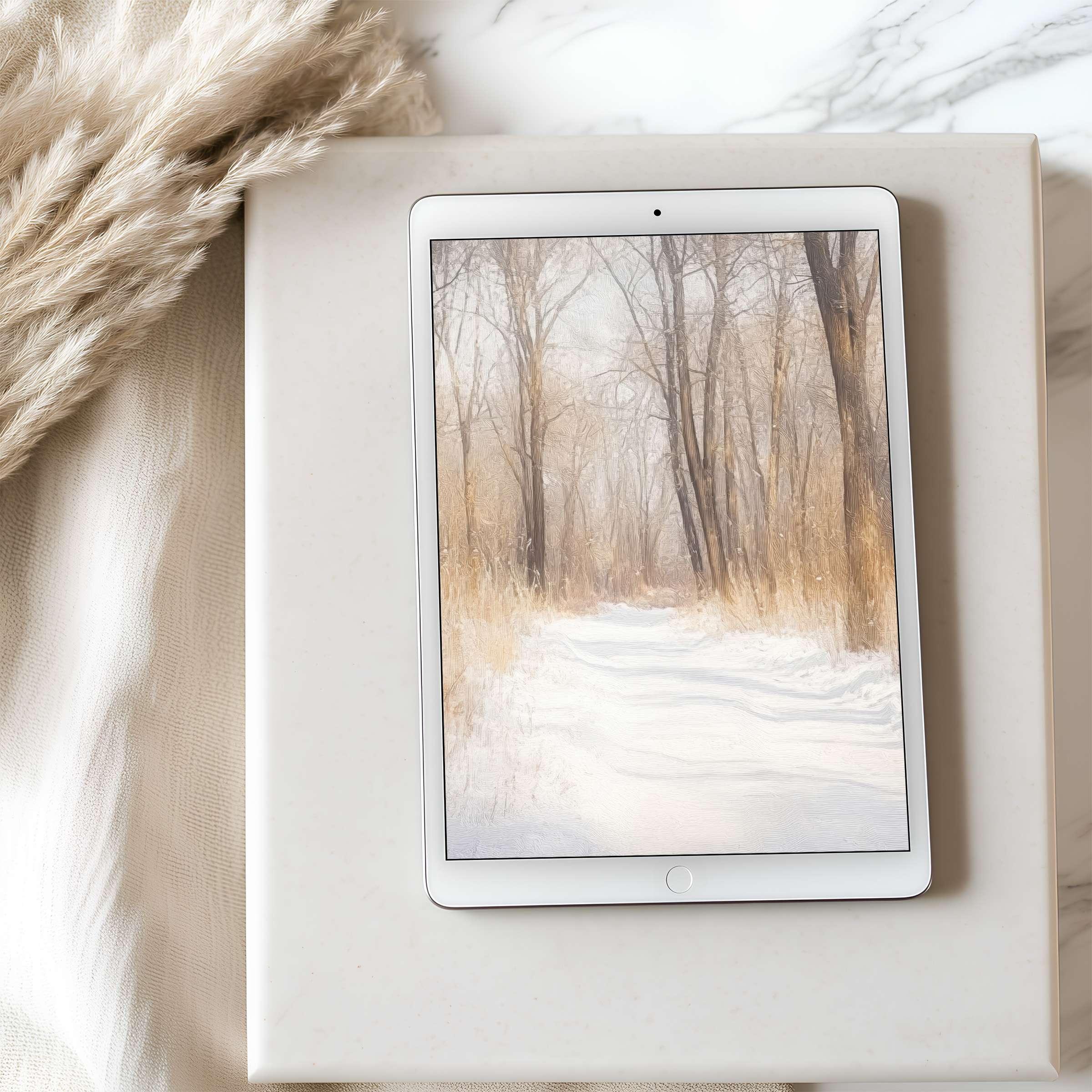 Elegant winter forest tablet wallpaper in soft neutral tones set on a sleek surface enhances any iPad in high resolution download