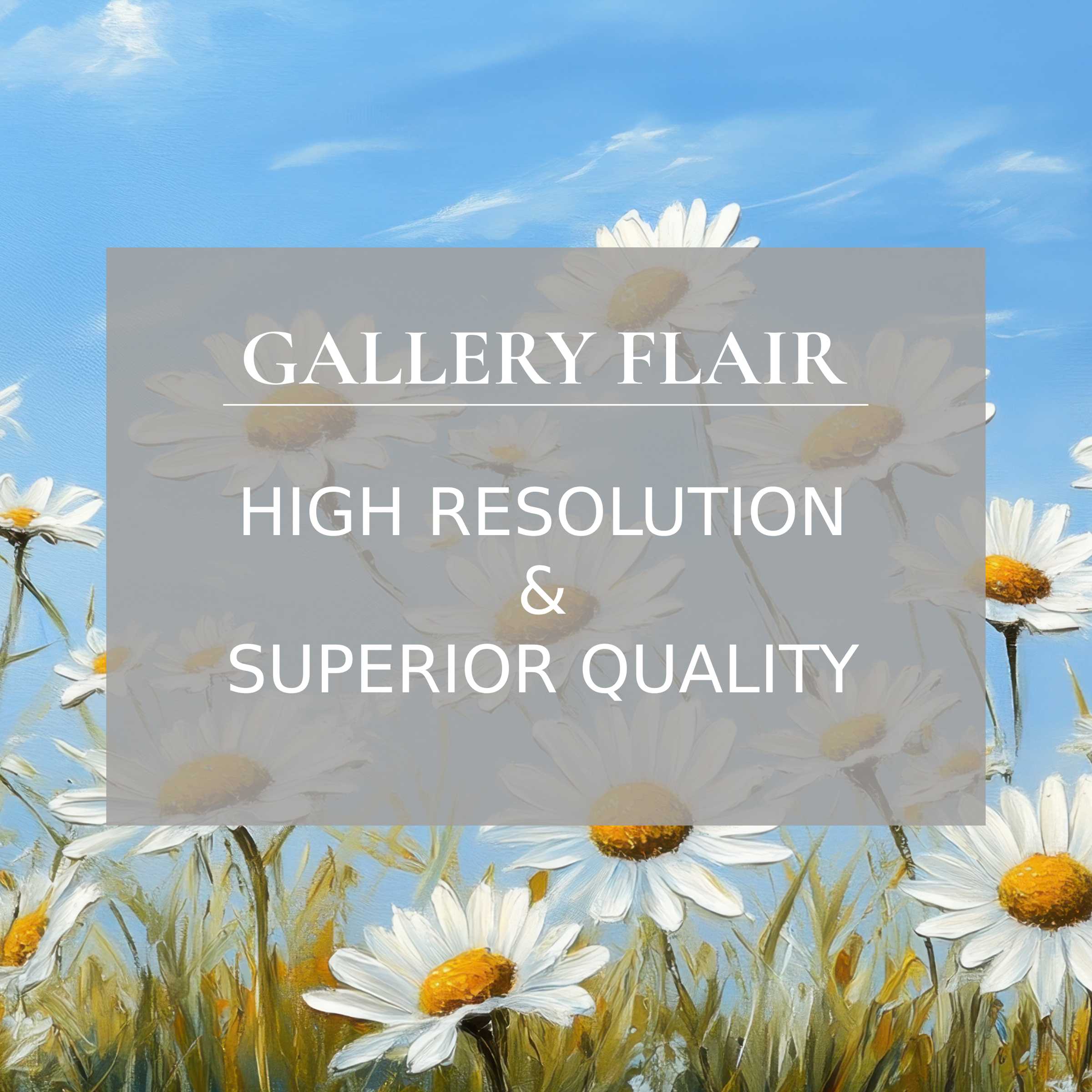 High-resolution iPad wallpaper digital download of white daisies against a serene blue sky offers an elegant curated tablet background